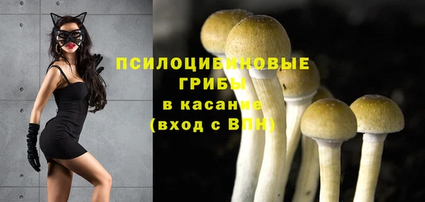 PSILOCYBIN Бронницы