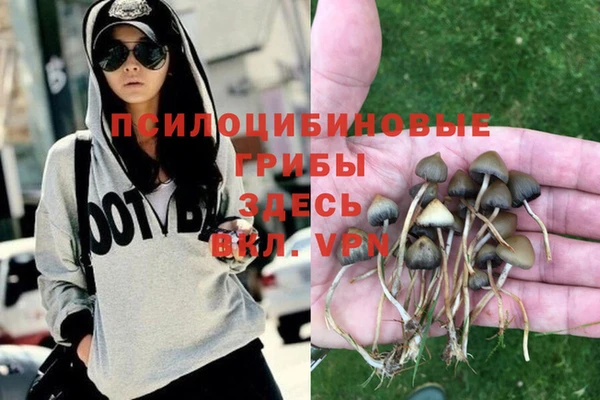 прущая мука Нефтекумск