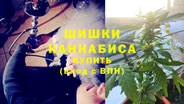 бошки Нея