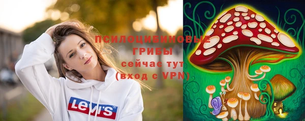 бошки Нея