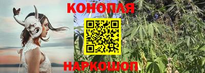 мяу мяу мука Балашиха