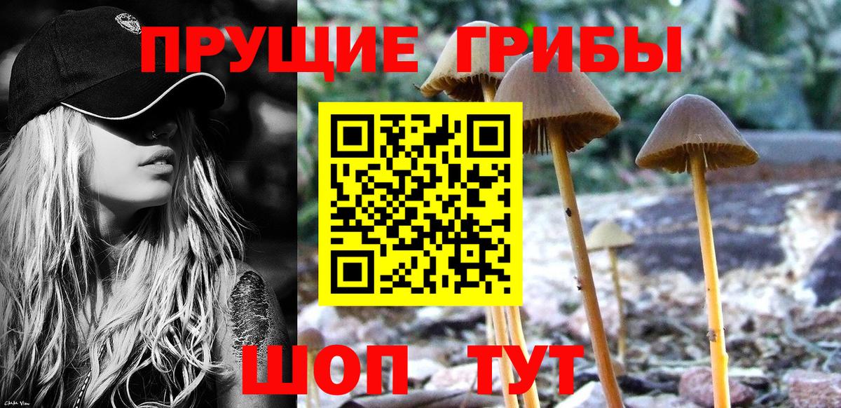 Галлюциногенные грибы мухоморы Сертолово