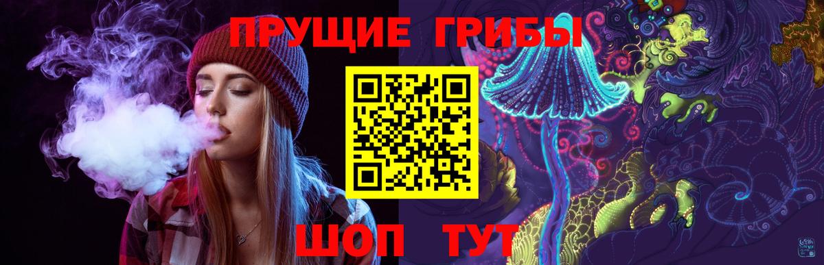 Сертолово  Псилоцибиновые грибы прущие грибы  Вход с VPN  Галлюциногенные грибы мицелий 